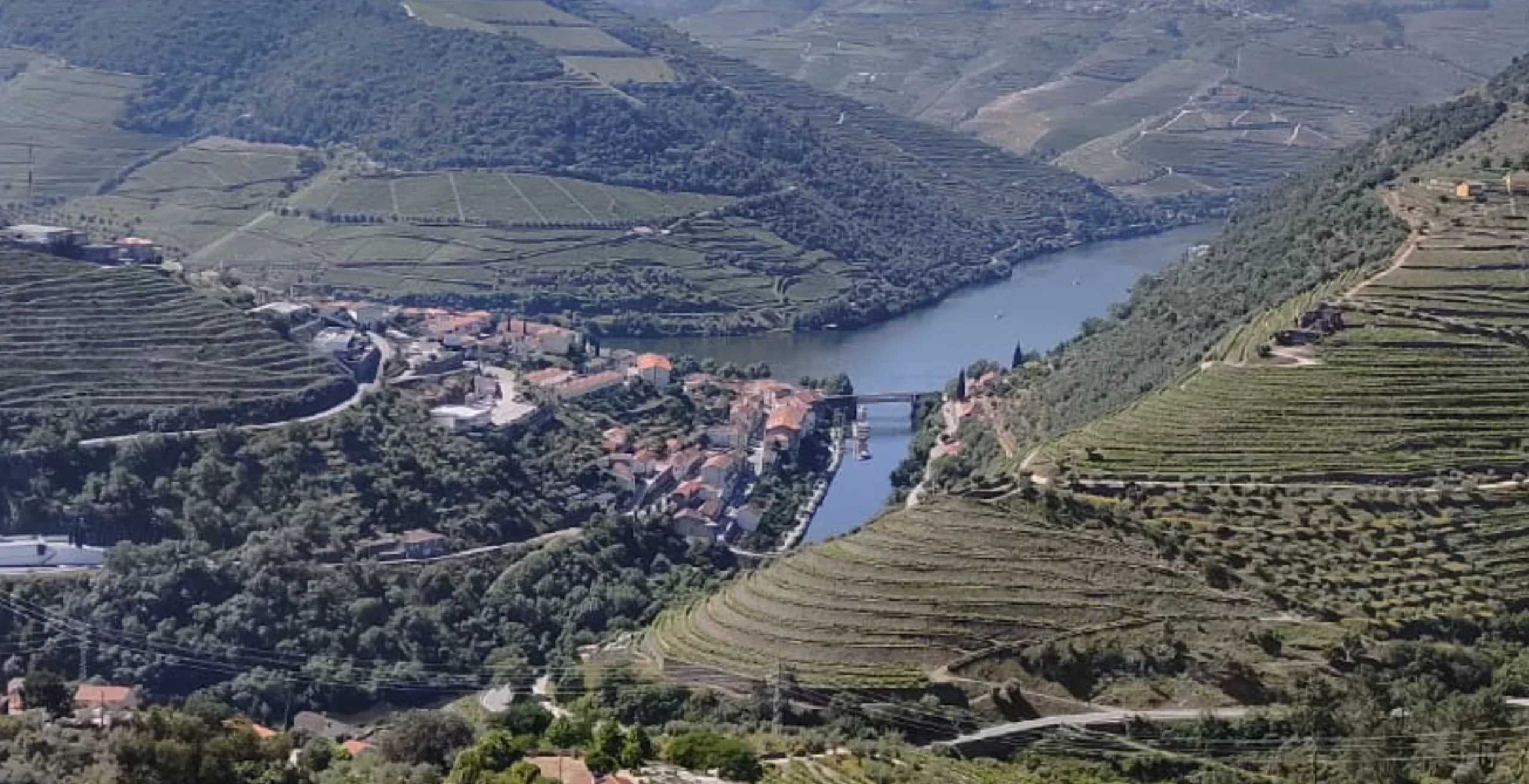 Pinhão