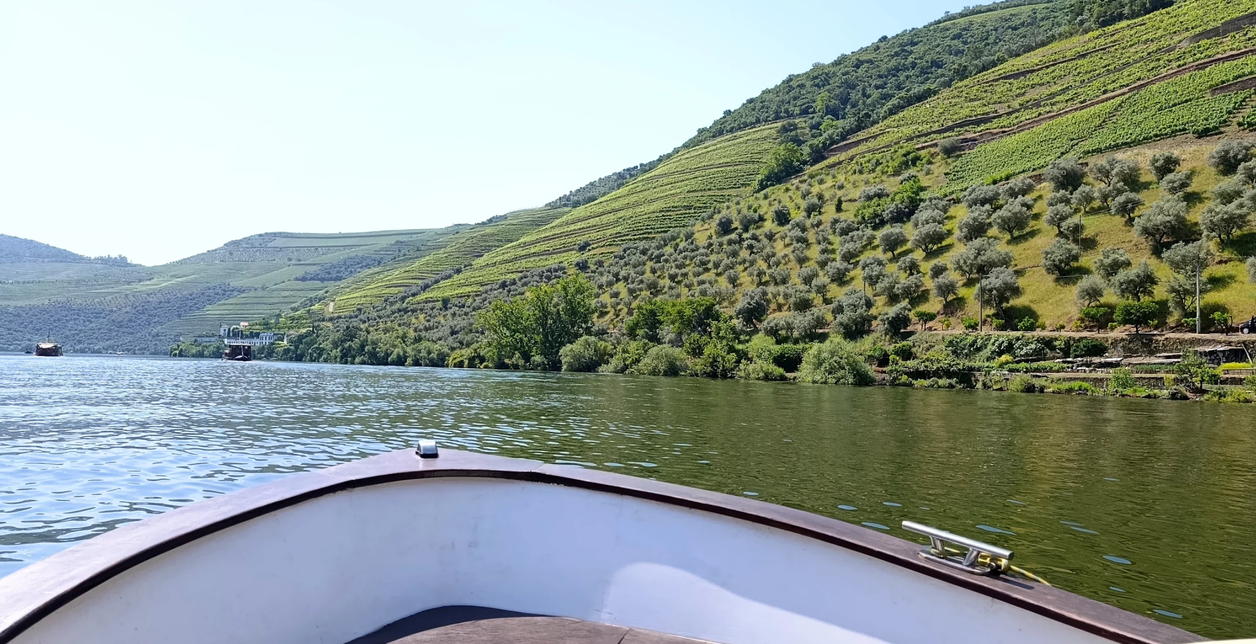 Croisières sur le Douro
