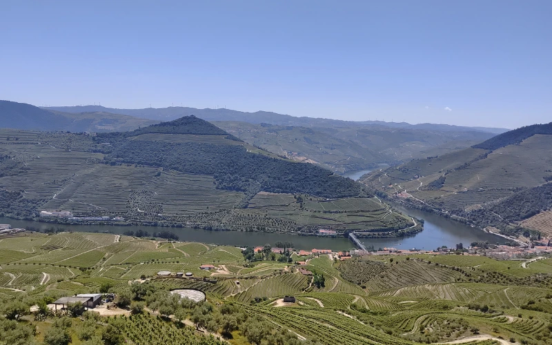 Vue panoramique sur les vignobles en terrasses de la vallée du Douro depuis le miradouro de Casal de Loivos
