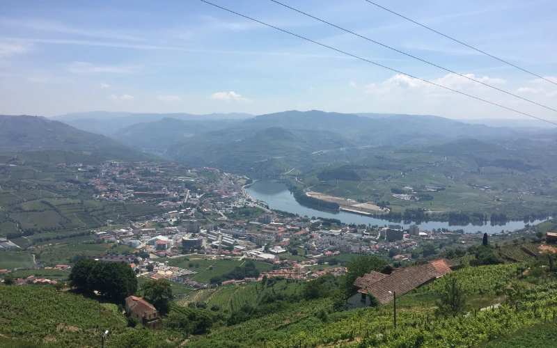 Vue panoramique sur Peso da Régua et les vignobles en terrasses du Douro depuis un miradouro